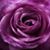 Kathleen Doyle's profile image