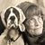 Carolyn Bates's profile image