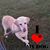 Kathy Baker's profile image