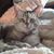 Georgette Hook Almand's profile image