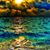 Brenda Rositzki Germain's profile image