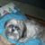 Diane Edwards's profile image