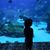 Jan Humphrey's profile image
