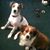 Teresa Tackett Lovelace's profile image