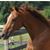Shelley Fuller's profile image