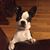 Ramonda Dugas's profile image