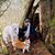 Angie Wordelman's profile image