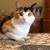 Dawn Smith's profile image