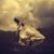 Christine Cozza's profile image