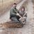 David Carpenter's profile image