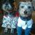 Wanda Grigg Brackett's profile image