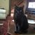 Karen Elizabeth's profile image
