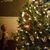 Samantha Wigginton's profile image