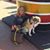 Amy Henry's profile image