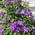 Elaine Chaloux's profile image