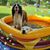 Connie White Stackhouse's profile image