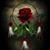 Susan Theel Woods's profile image