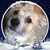 Cristy Emery's profile image