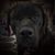 Josh Hopkins's profile image