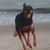 Clint Williamson's profile image