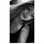 Jay Ortega Echeverria's profile image