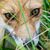 Anthony Pitale's profile image