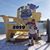 Marisha Brown-smith's profile image