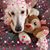 Melinda Smith's profile image