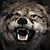 Bruce E Wilson's profile image