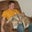 Joey Cekola's profile image