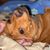 LaFran Plunk's profile image