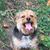 Jackie Palmer's profile image