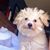 Angie Hargitt's profile image