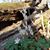 Nancy Heck Bastert's profile image