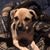 Darrell Stephens's profile image