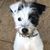 Julie Harris's profile image