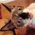 Dina LaPenta's profile image