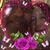 Lisa McNeil Shepherd's profile image
