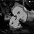 Tony Antolino's profile image