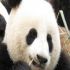 Carolyn F.'s profile image