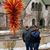 Kimberly Flaherty's profile image