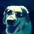Cathy Martzolff's profile image