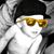 Andy Nieto's profile image