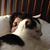 Candace Armstrong's profile image