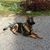 Kip Gibbs's profile image