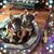 Joanne Duncan's profile image