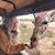 Teresa Cheely's profile image