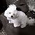 Sue Silvern Vick's profile image