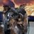 Cynthia Smith's profile image