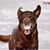 Mark Melsness's profile image